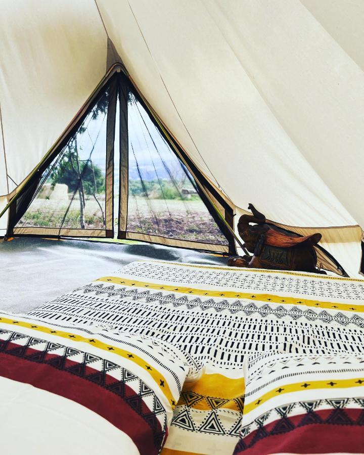Les Petites Bulles De Massier Otel Vienne  Dış mekan fotoğraf